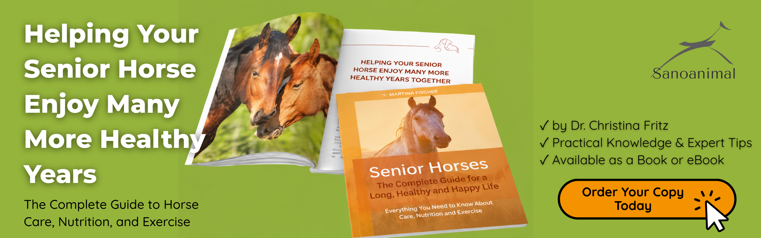 Book: Senior Horses