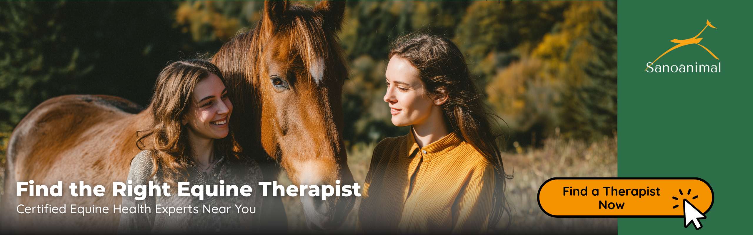 Equine Therapists & Nutritionists
