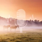 Podcast #3 – Herfst: van weide naar paddock – zo zorg je voor een soepele overgang van gras naar hooi (Engelstalige aflevering)