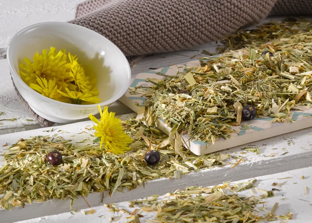 Okapi Vierjaargetijdenvoeder