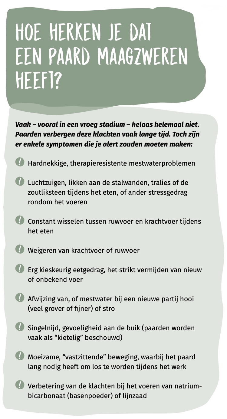 Hoe herken je dat een paard maagzweren heeft?