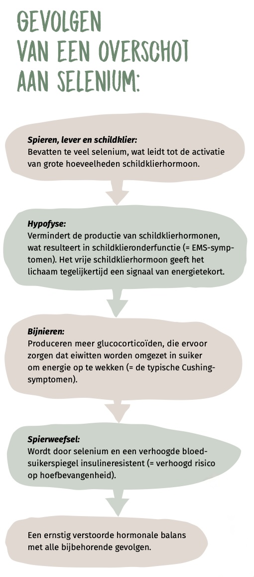 Gevolgen van een overschot aan selenium