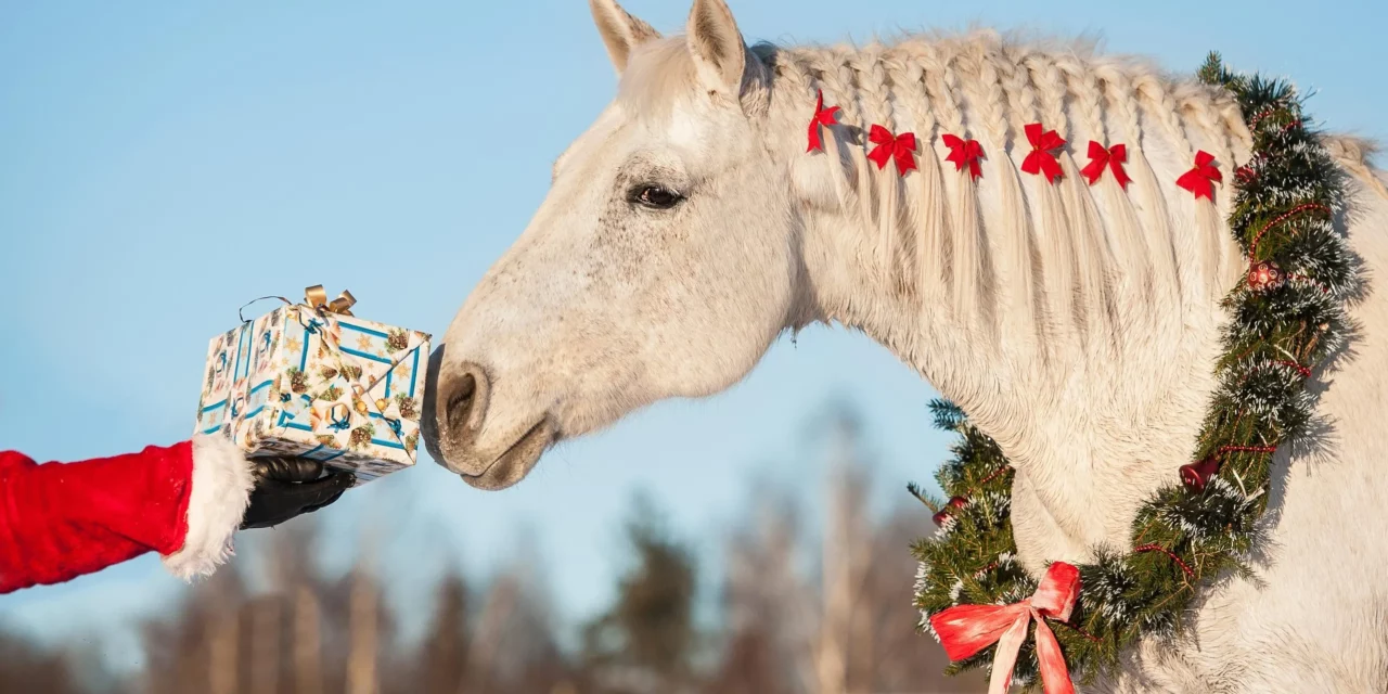 5 dingen die paarden zich met pakjesavond zouden wensen