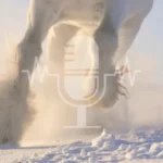 Podcast Aflevering #11: Sneeuw op de weide – veilige winterweidegang of risicovolle optie? (Engels)