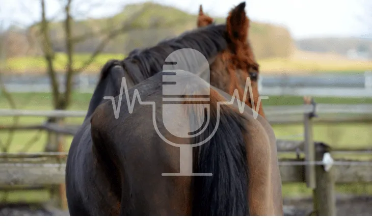 Sanoanimal Podcast #27 Cushing – viel seltener als man denkt