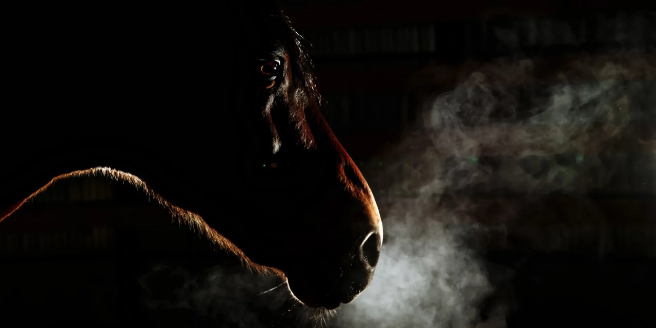 Wat voor wat? <strong>Hoestkruiden vs. Secretosan</strong>