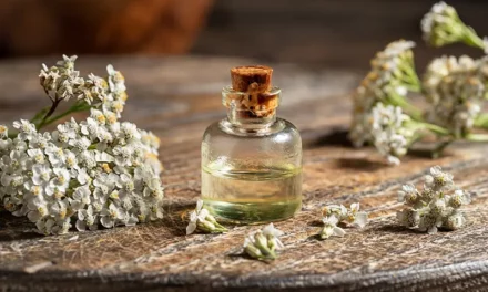 Kruidentip: Duizendblad