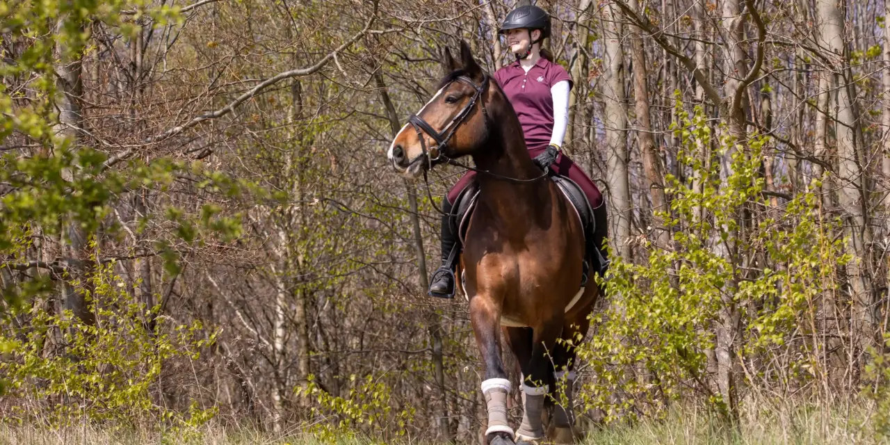 Weg uit de rijhal: Waarom sportpaarden buitenritten nodig zijn