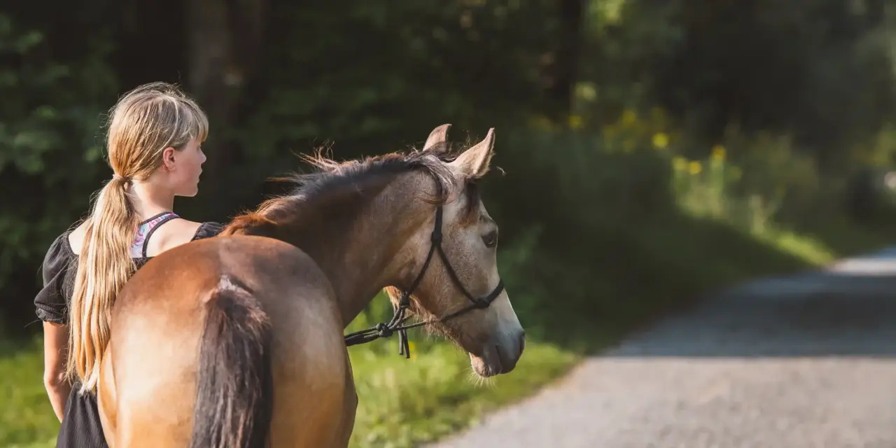 De eerste stap in het onbekende: als je paard voor het eerst het erf verlaat