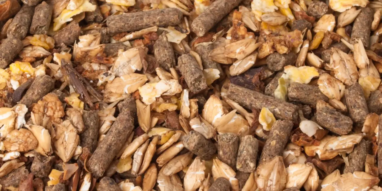Samenstelling onthuld: deze ingrediënten zitten echt in paardenvoer