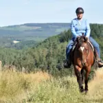 Het beste trailparcours ter wereld: natuurlijke hindernissen slim gebruiken