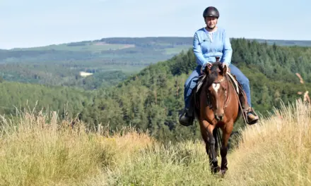 Het beste trailparcours ter wereld: natuurlijke hindernissen slim gebruiken