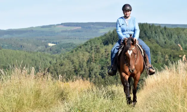 Het beste trailparcours ter wereld: natuurlijke hindernissen slim gebruiken