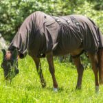 Vliegendekens correct kiezen: De ultieme gids voor paardeneigenaren