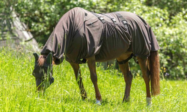 Vliegendekens correct kiezen: De ultieme gids voor paardeneigenaren
