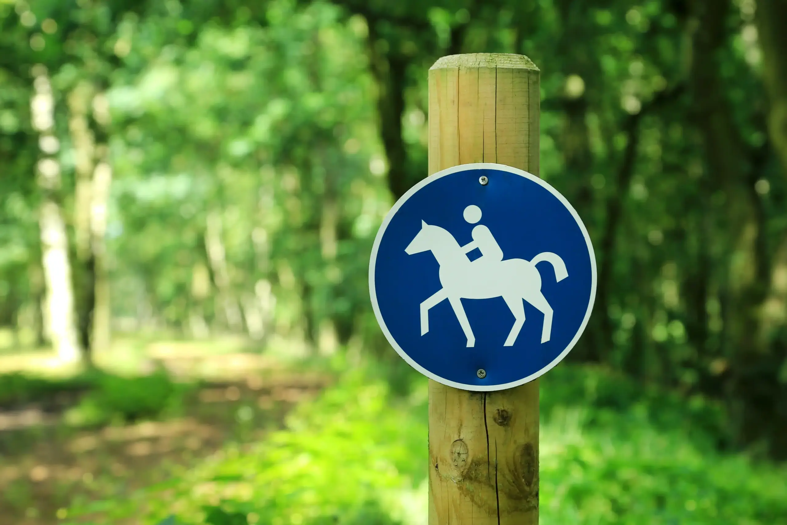 Ruiterpadbord in het bos