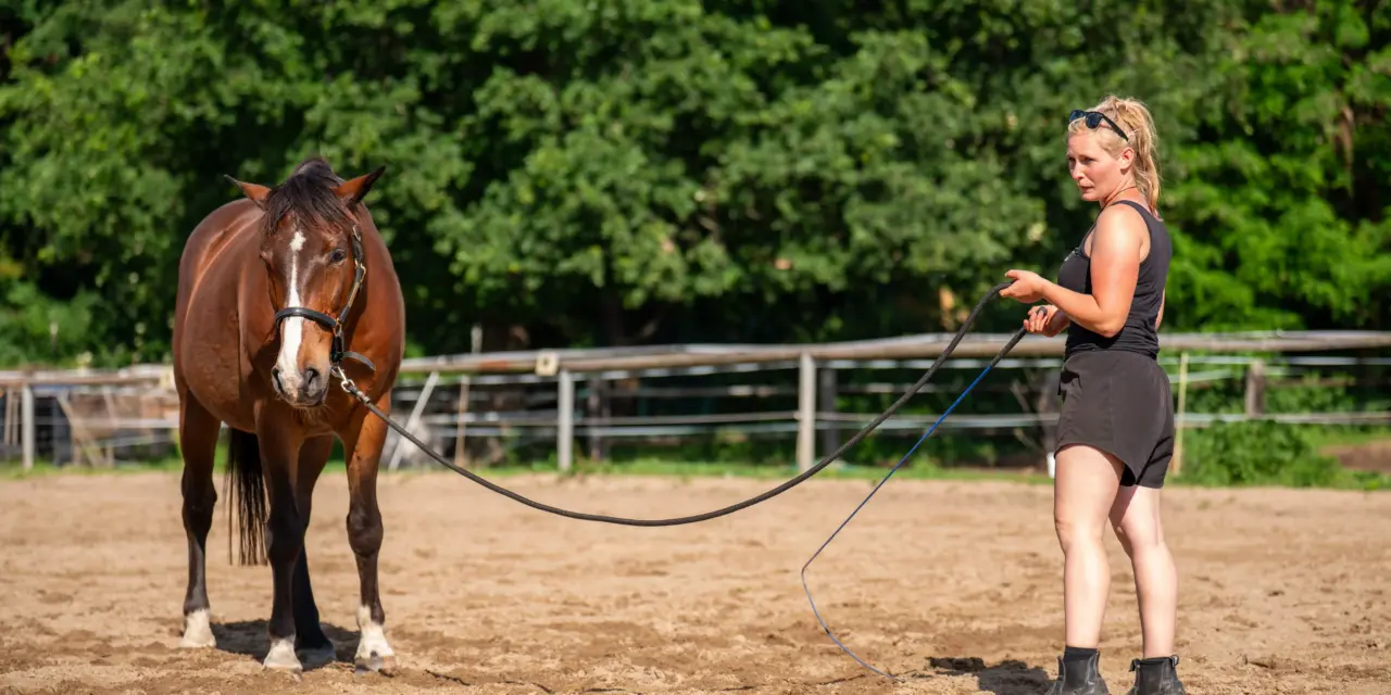 De juiste uitrusting voor grondwerk