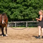 De juiste uitrusting voor grondwerk