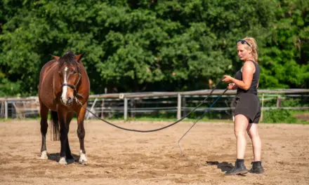 De juiste uitrusting voor grondwerk