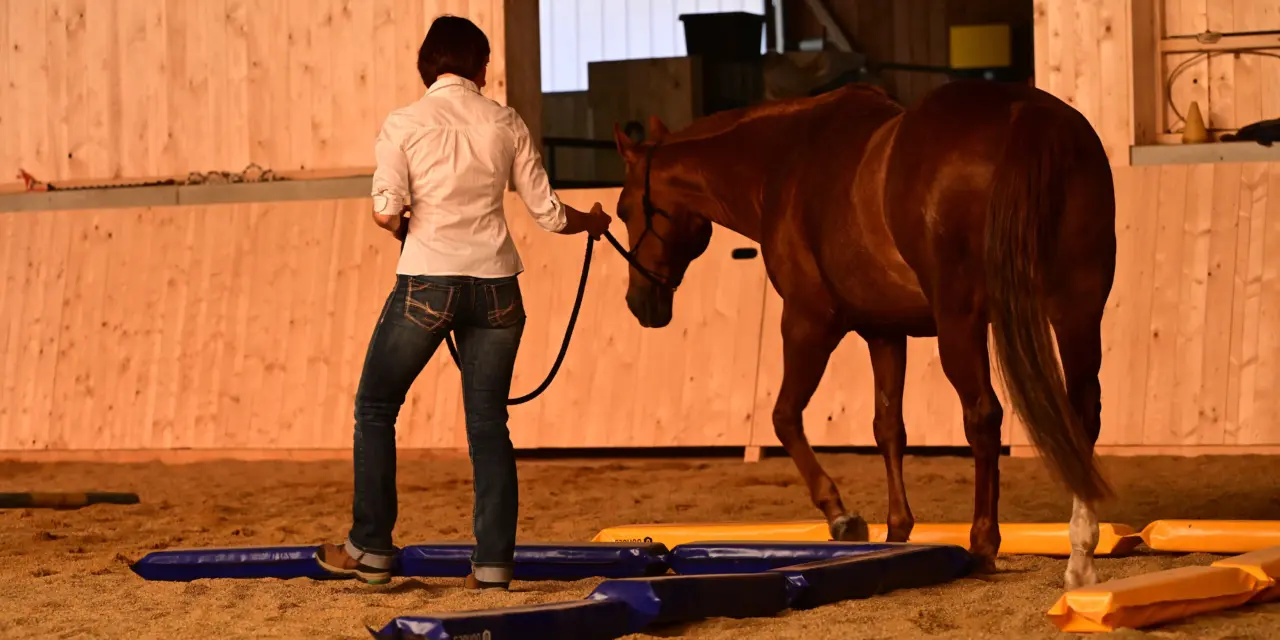 De ideale trainingsplek