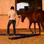 De ideale trainingsplek