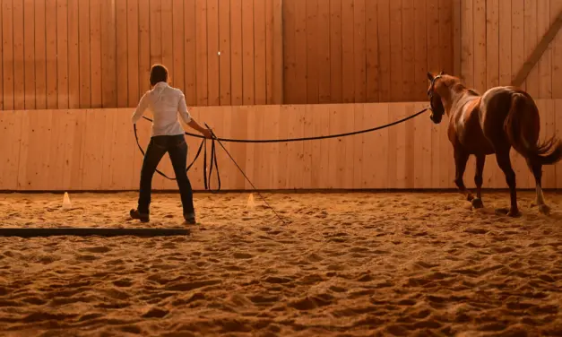 Mentale voorbereiding van de mens