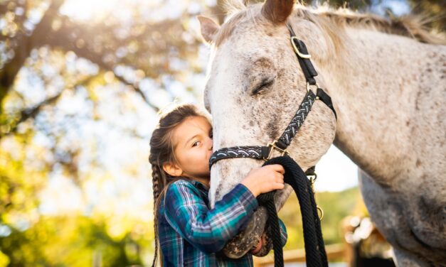 Kinderen en hun liefde voor paarden